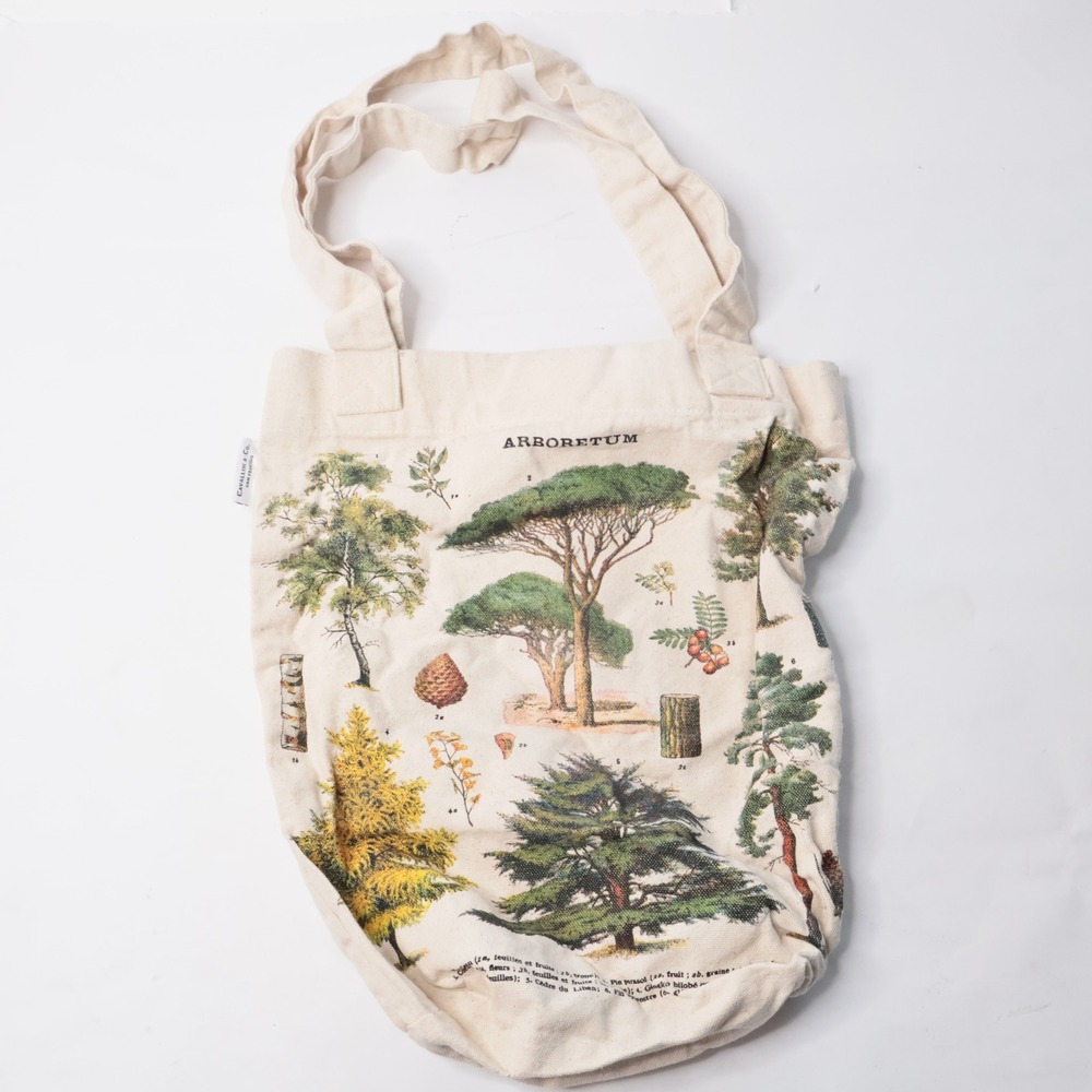Arboretum Tree Botanical Print Small Canvas Tote Bag 14x11" Nature Science Earth